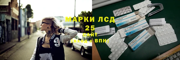 гидра Бородино