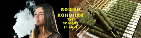 гидра Бородино