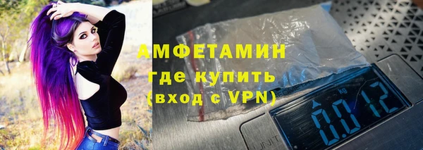 гидра Бородино